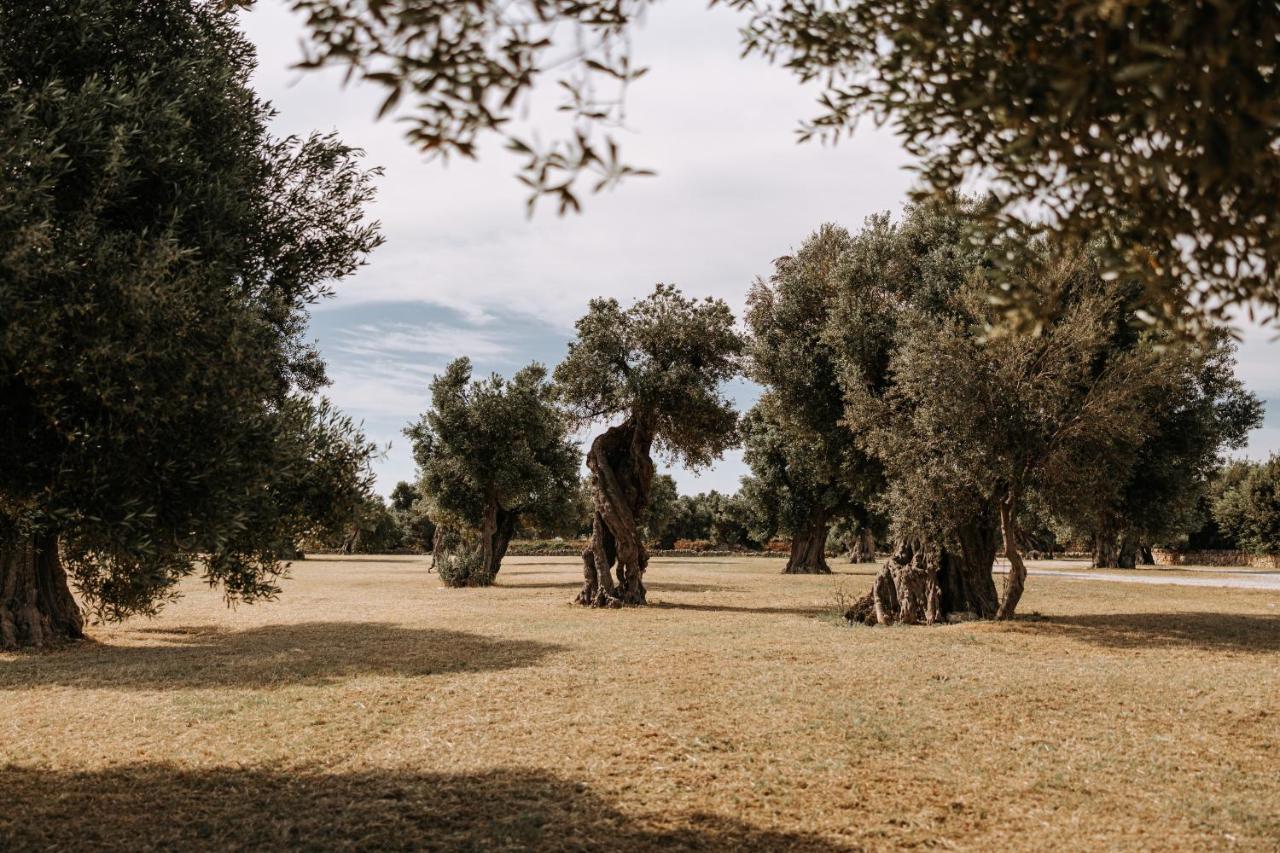 Masseria Garrappa Fasano Ngoại thất bức ảnh