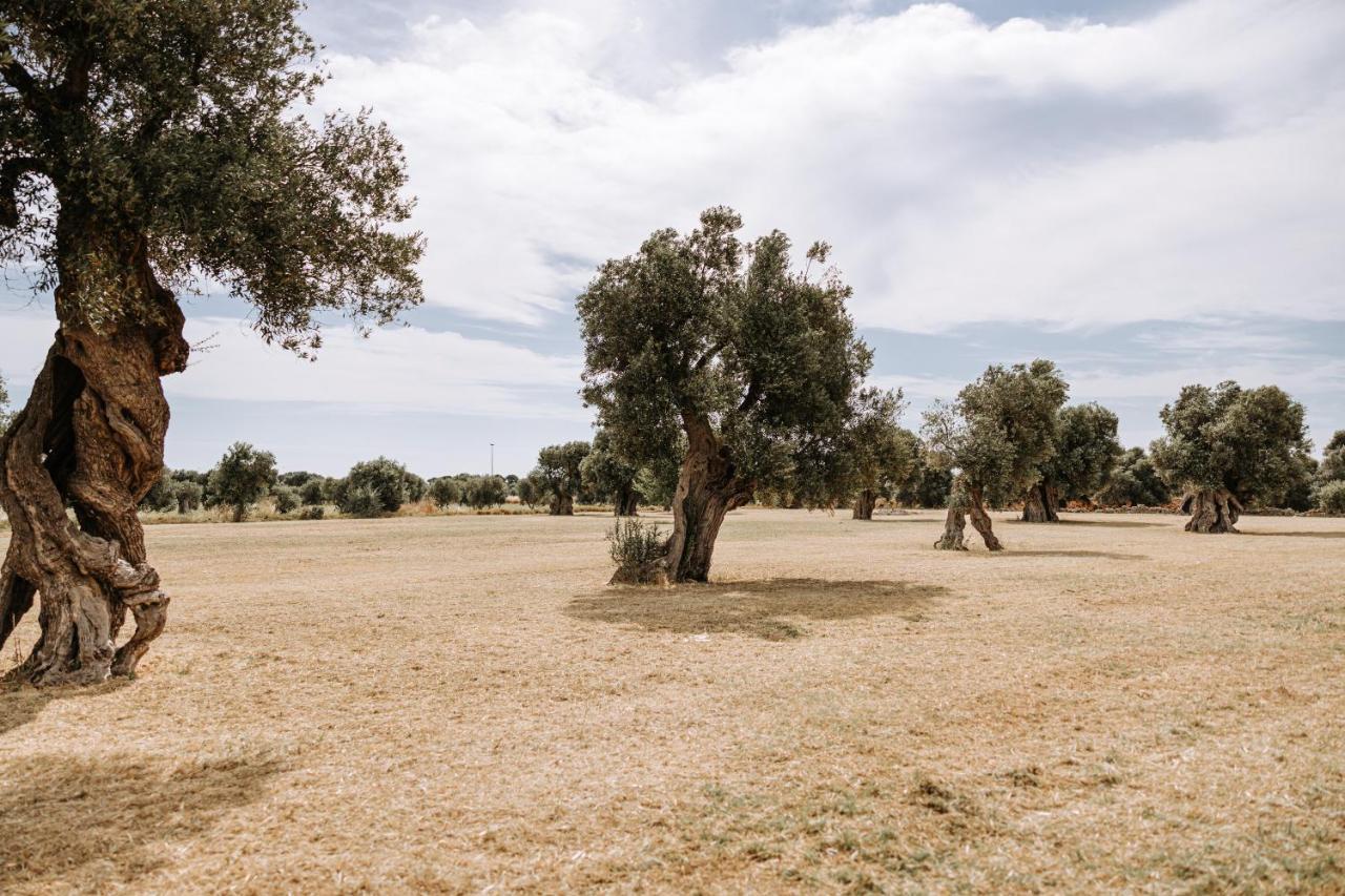 Masseria Garrappa Fasano Ngoại thất bức ảnh
