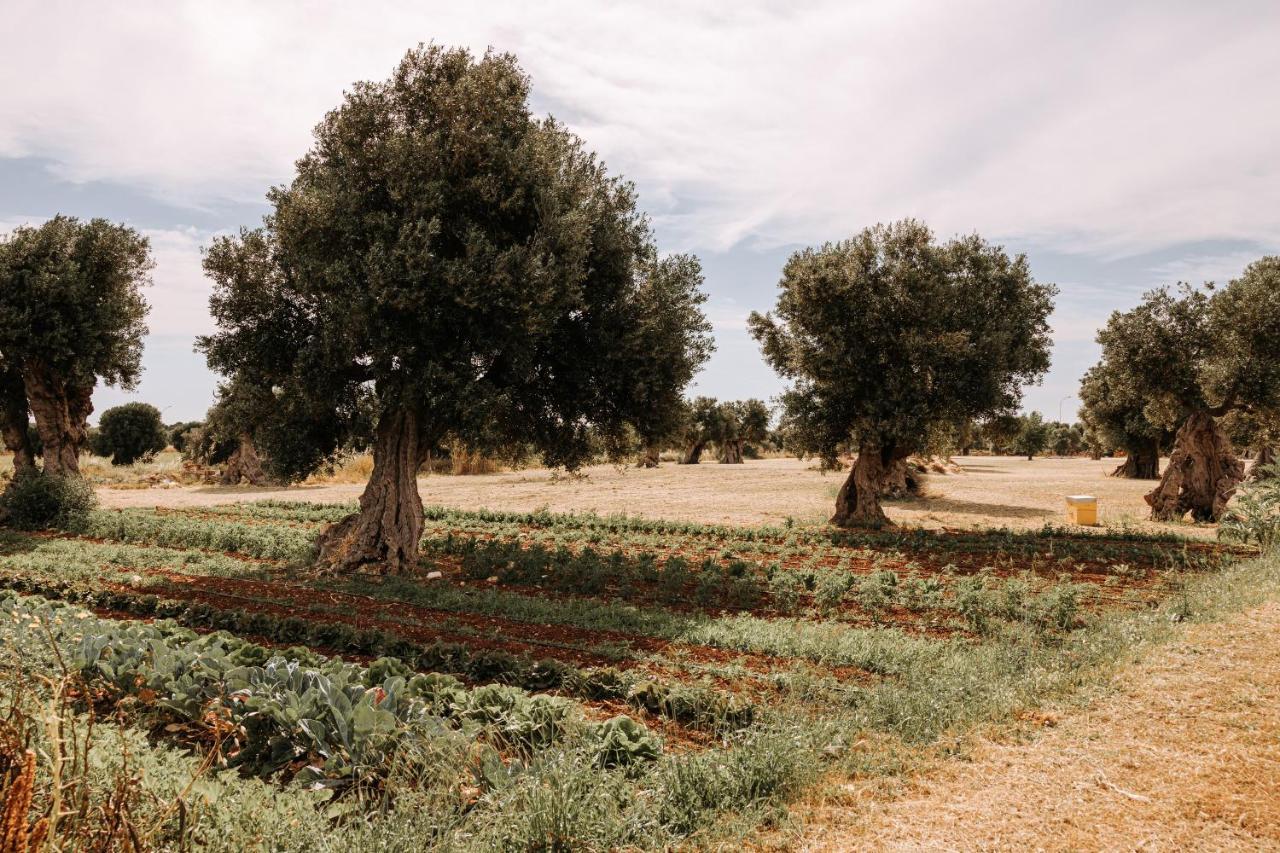 Masseria Garrappa Fasano Ngoại thất bức ảnh