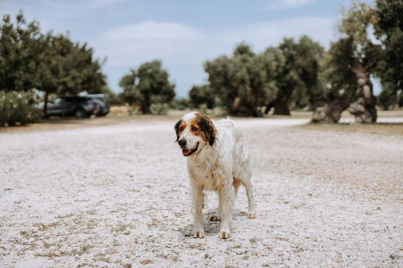 Masseria Garrappa Fasano Ngoại thất bức ảnh